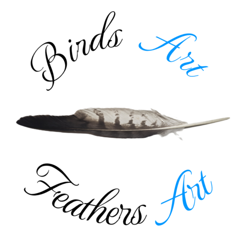 Feathers Art